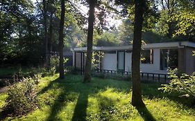 Veel eigen en omheinde grond in dit luxe huisje!